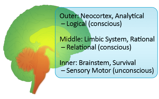 Texte de larbre cerveau