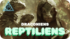 Draconiens reptiliens