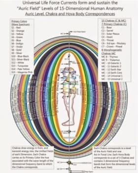 Anatomie Humaine en 15 Dimensions