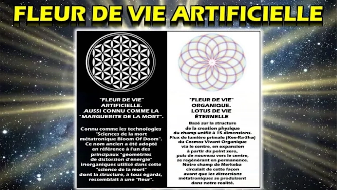 Illustration de la Fleur de Vie Artificielle, symbolisant les mathématiques déformées et l'énergie finie.