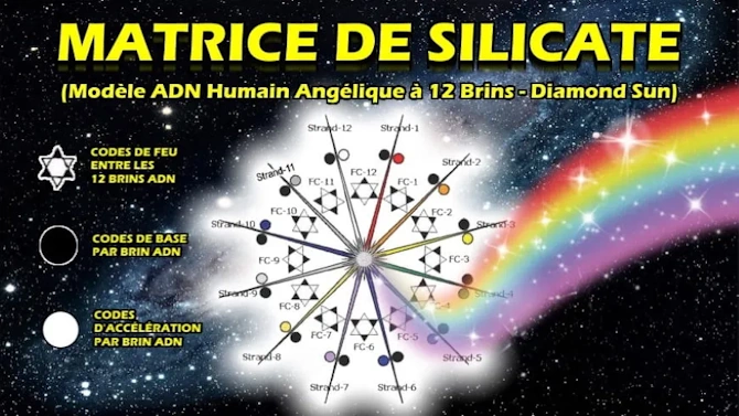 Schéma de la Matrice de Silicate montrant la structure de l'ADN à 12 brins.