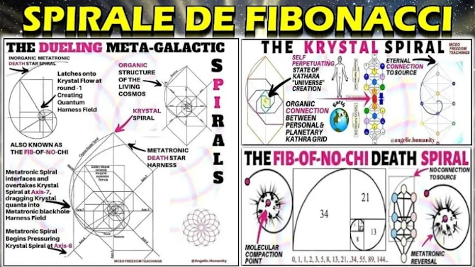 Spirale de Fibonacci et de Krystal dans la nature