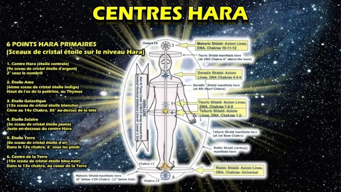 Illustration des centres Hara et de la ligne Hara pour comprendre leur connexion avec la Kundalini
