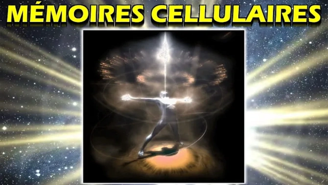 Illustration de la mémoire cellulaire et de son lien avec la santé spirituelle et physique