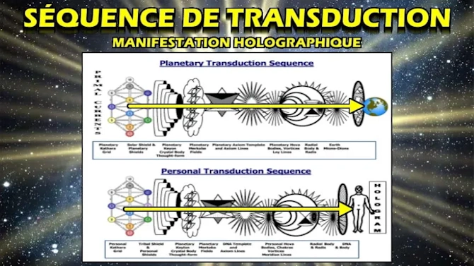 Transduction Holographique - La Manifestation Physique Humaine à travers des Dynamiques Multidimensionnelles